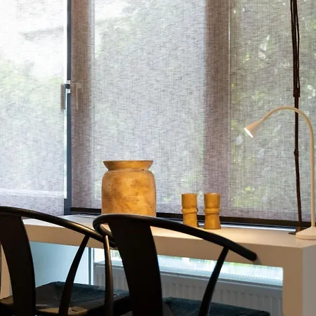 Delightful And Sunny Studio